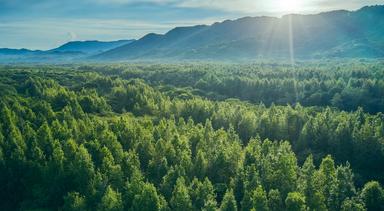 Towards A Greener Future - How Watchmakers Are Contributing To Sustainability