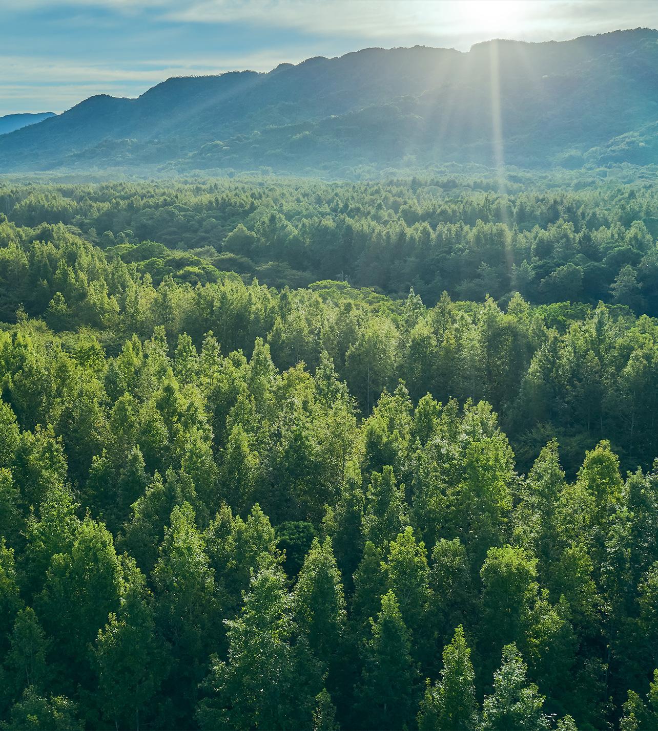 Towards A Greener Future – How Watchmakers Are Contributing To Sustainability