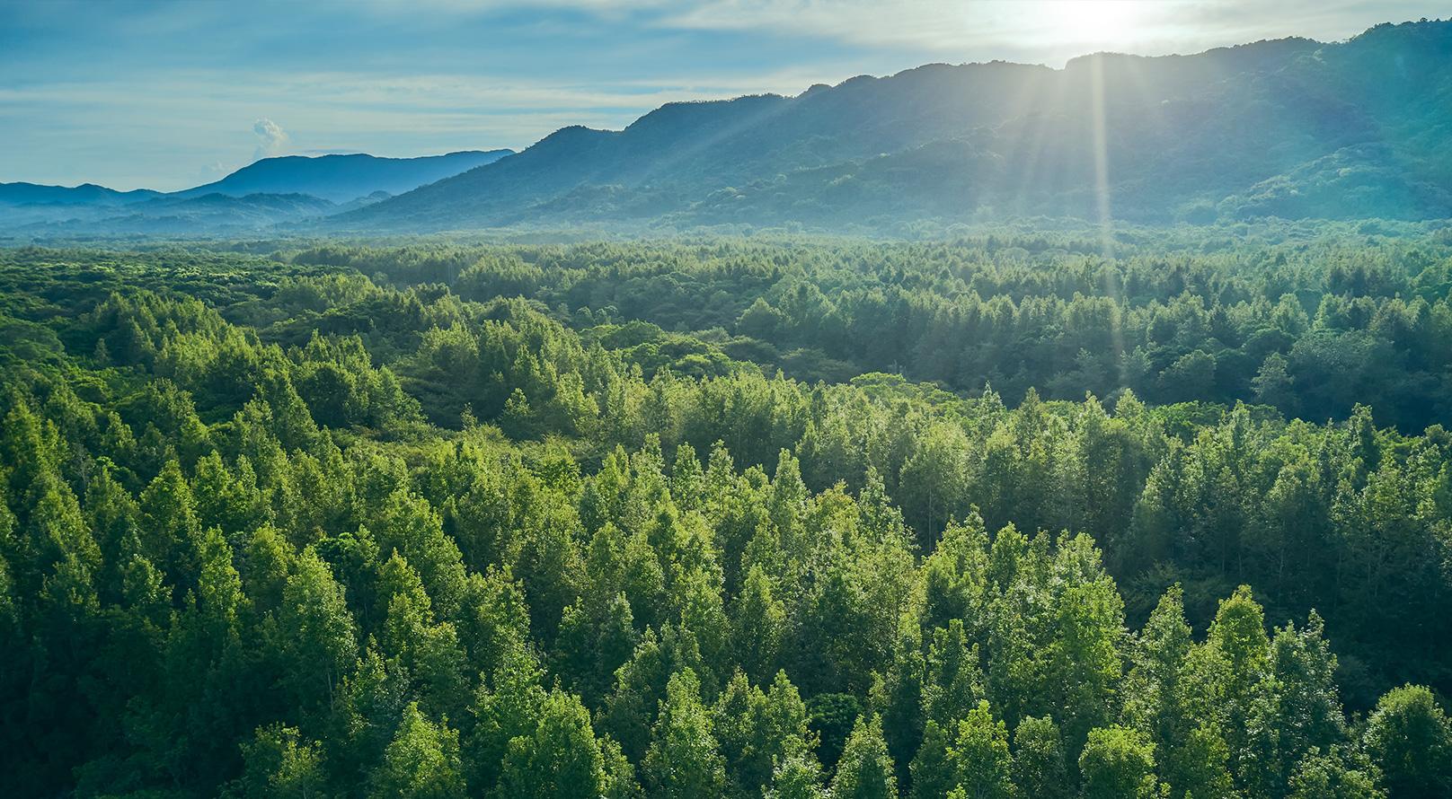 Towards A Greener Future – How Watchmakers Are Contributing To Sustainability