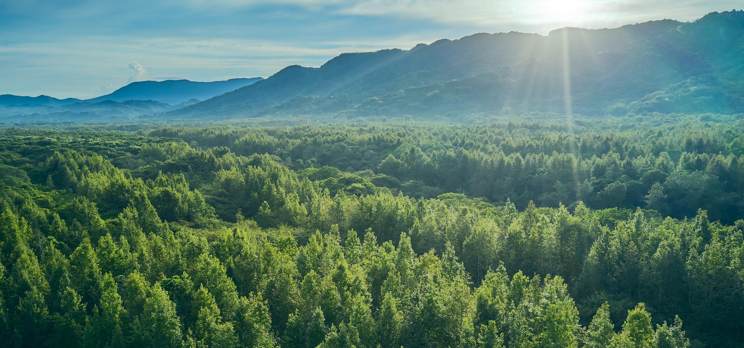 Towards A Greener Future – How Watchmakers Are Contributing To Sustainability
