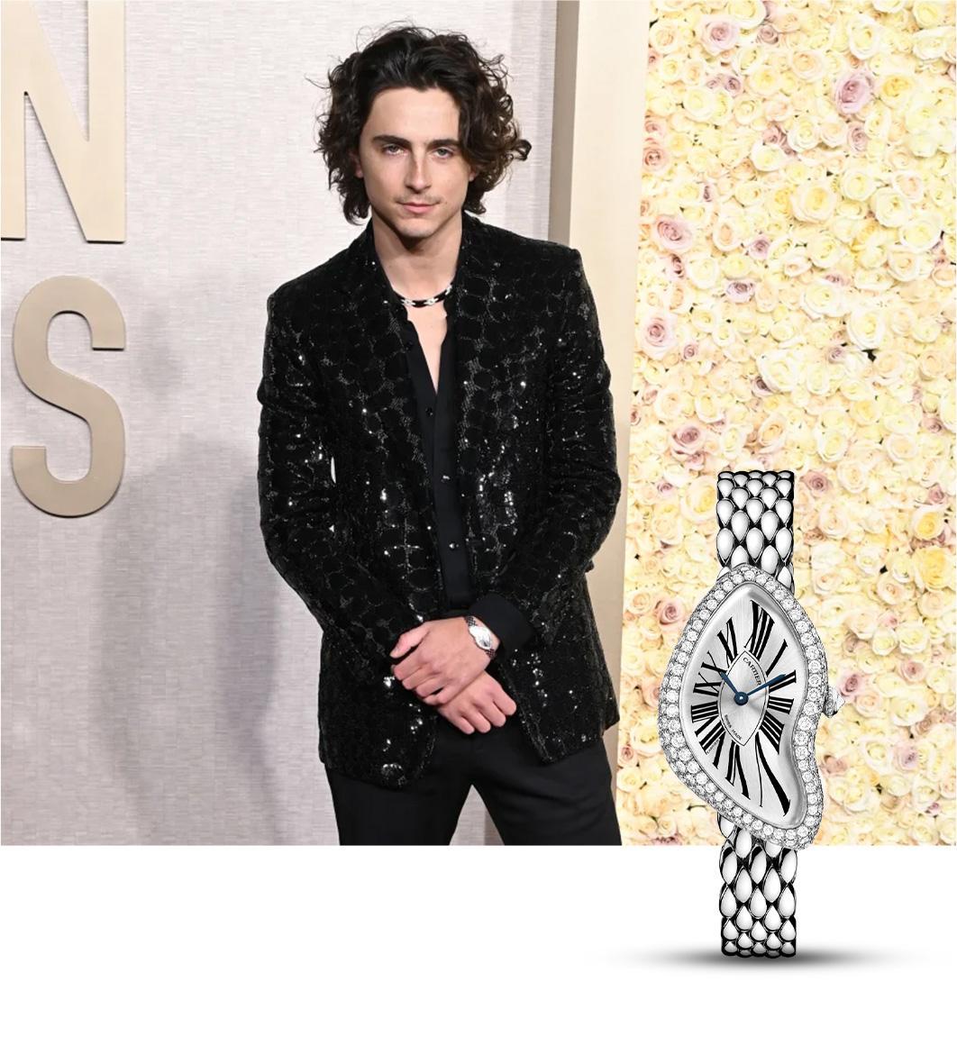 Timothée Chalamet in Cartier Crash