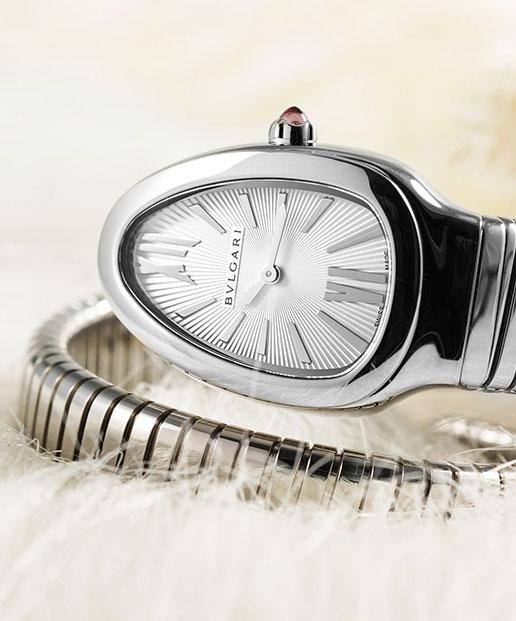 watch case shape